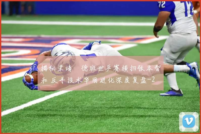 揭秘梁靖崑德班世乒赛横扫张本智和 反手技术华丽进化深度复盘