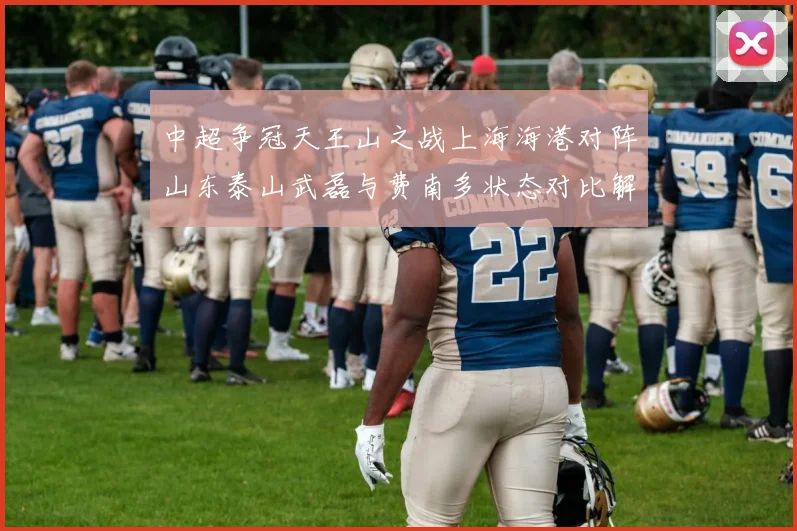 中超争冠天王山之战上海海港对阵山东泰山武磊与费南多状态对比解析