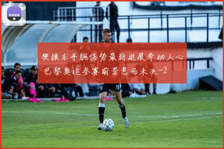 樊振东手腕伤势最新进展牵动人心 巴黎奥运参赛前景悬而未决